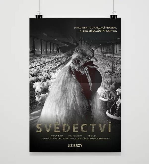 DOKUMENT SVĚDECTVÍ